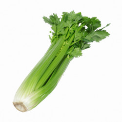 Celeri