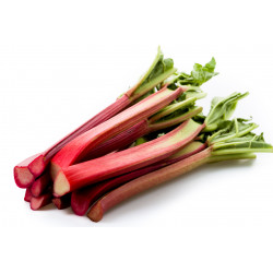 Rhubarbe