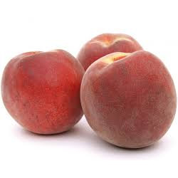 Pêche