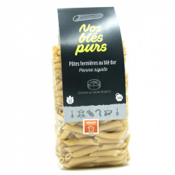 Penne Rigate