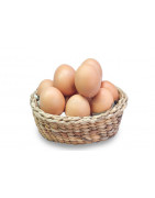 Nos oeufs de plein air en direct de chez nos producteurs